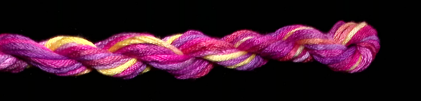 021 Peach Melba Waterlilies