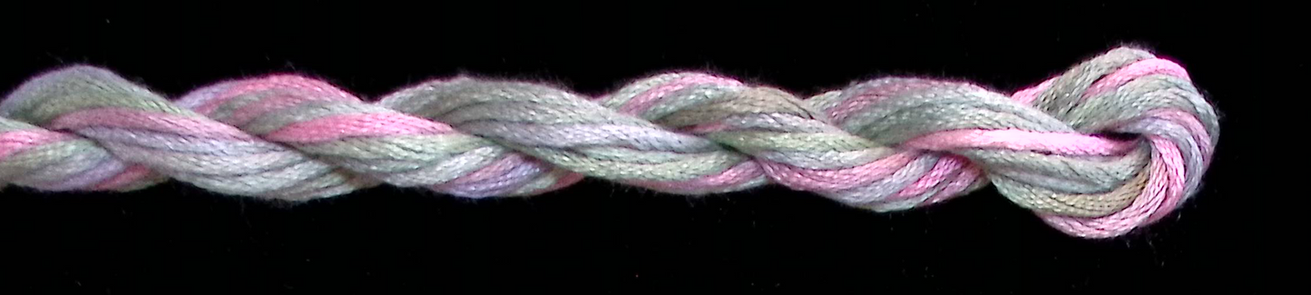 105 Succotash Waterlilies