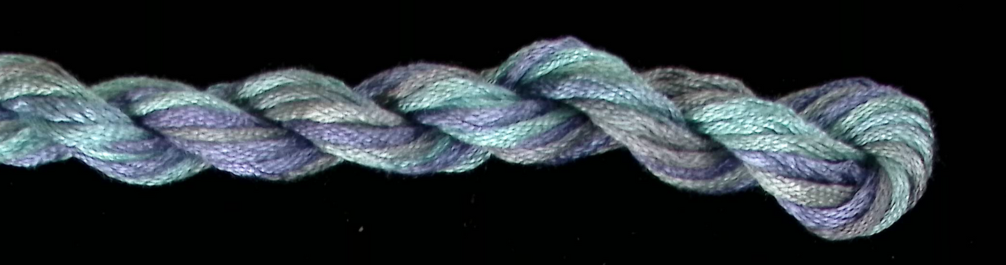 197 Monsoon Waterlilies