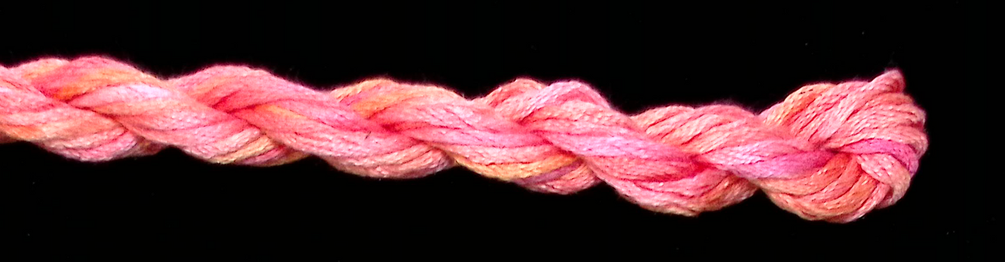 208 Tangerine Waterlilies