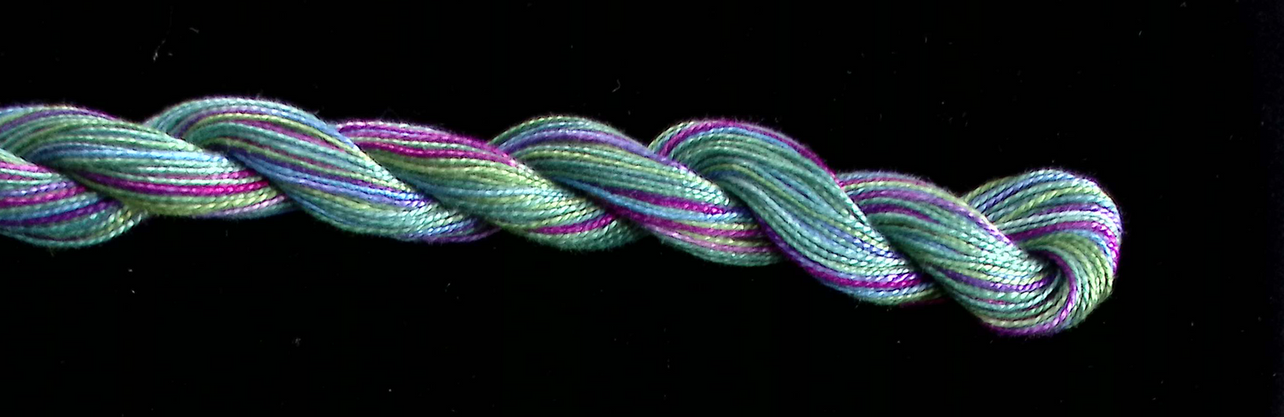 236  Appalachia Wildflowers