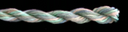 257 Spearmint Waterlilies